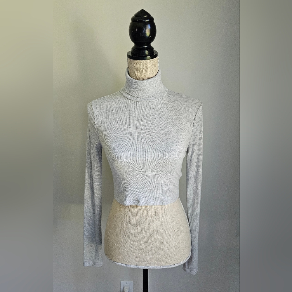 Aritzia Sunday Best Light Gray Crop Turtleneck